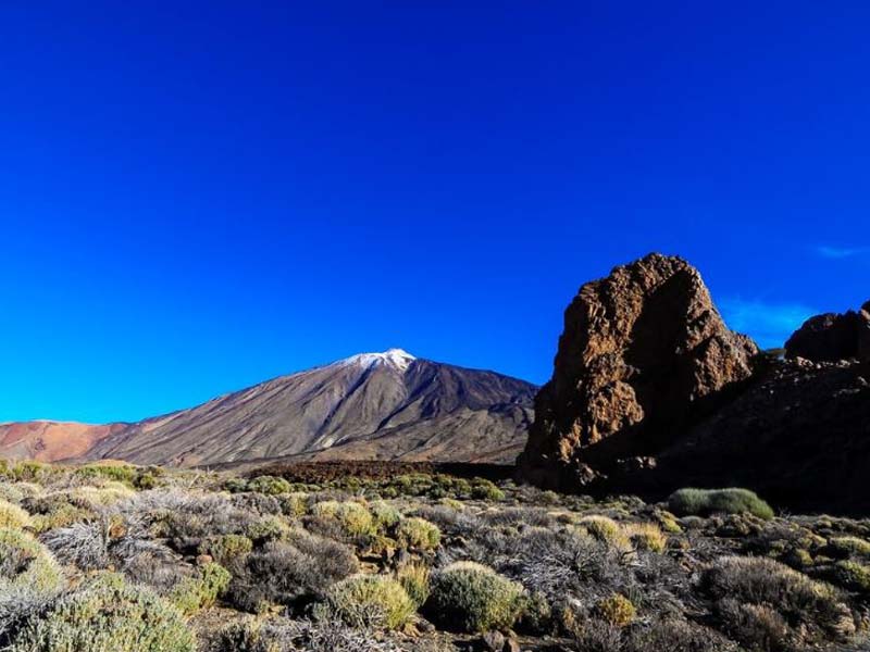 5 days Lemosho Trek + Ngorongoro Crater Safari