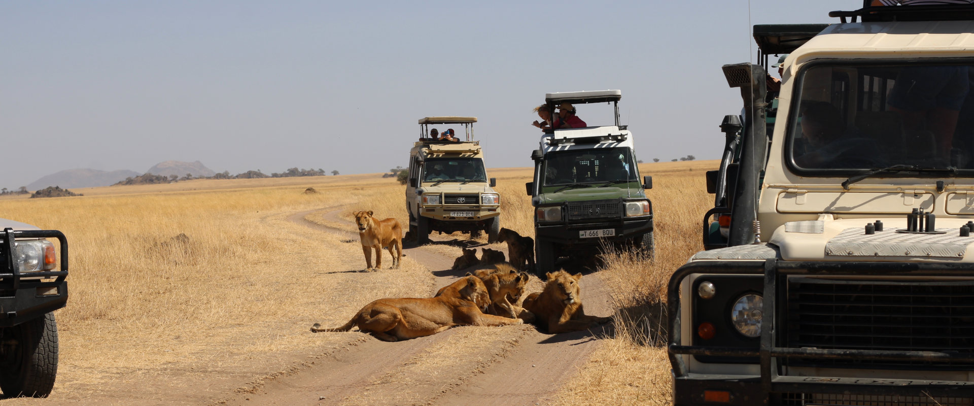 4 Day Super Luxury Safari Tarangire, Serengeti & Ngorongoro