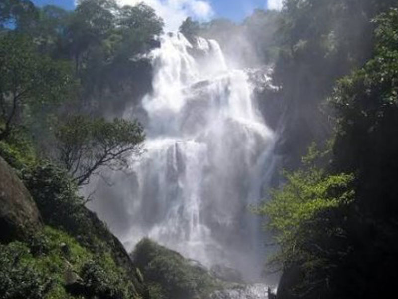 3 Days Udzungwa Nature & Adventure Hiking Safari