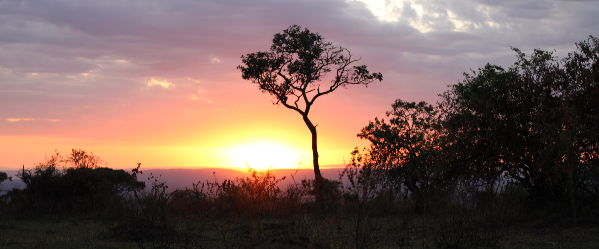 Kilimanjaro Machame Route & Northern Safari