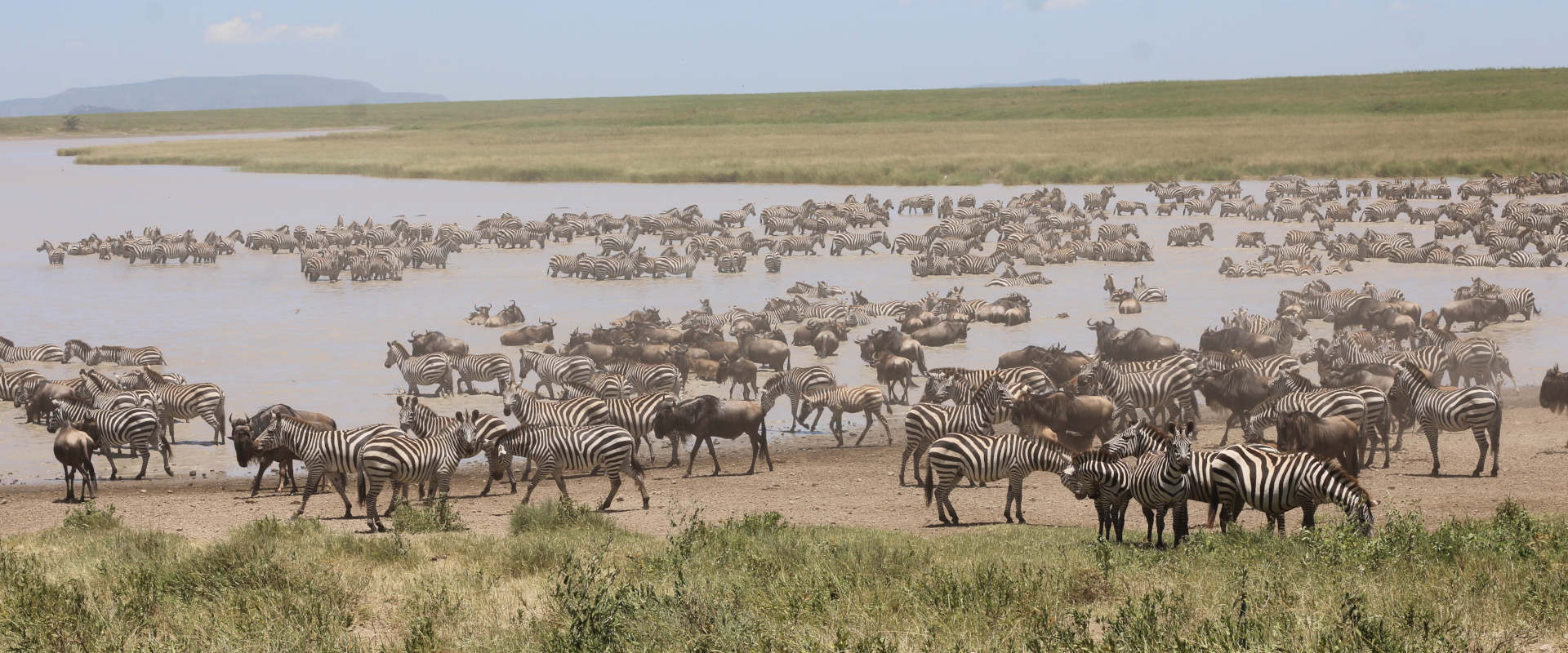 6 Days Serengeti Migration Safari (Northern)