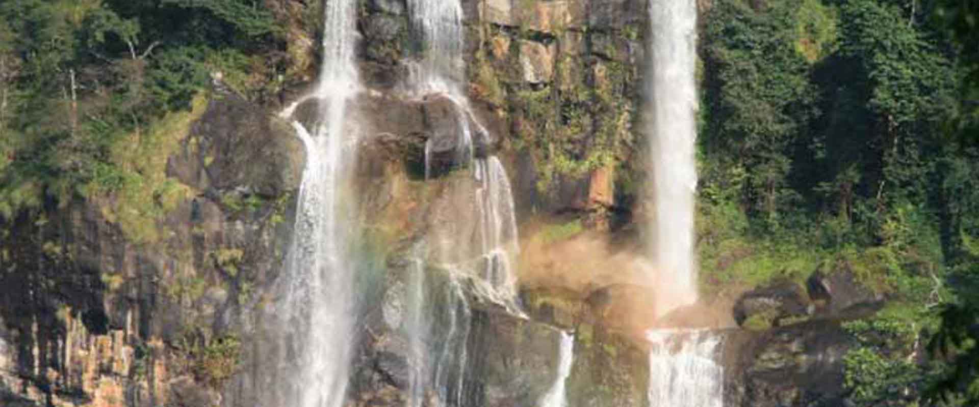 3 Days Udzungwa Nature & Adventure Hiking Safari