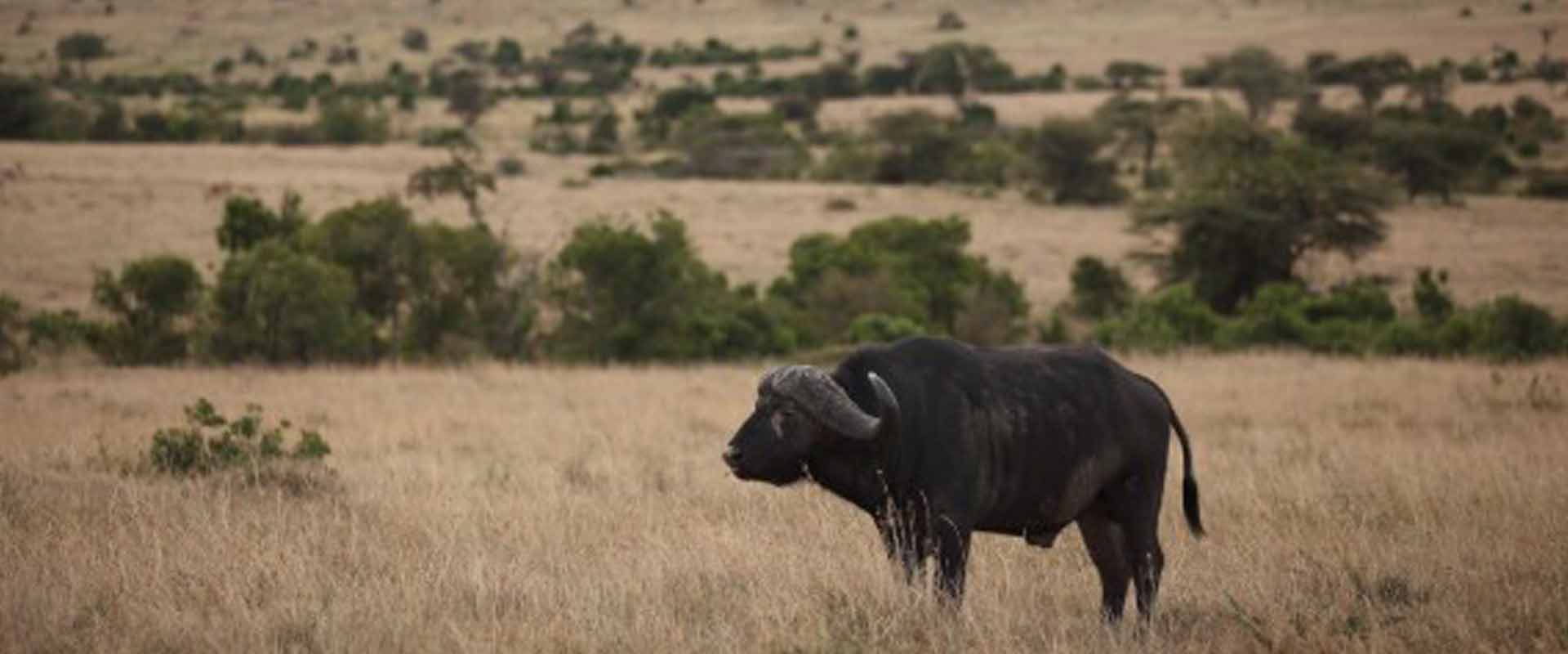 3 Days Family Safari – Serengeti & Ngorongoro