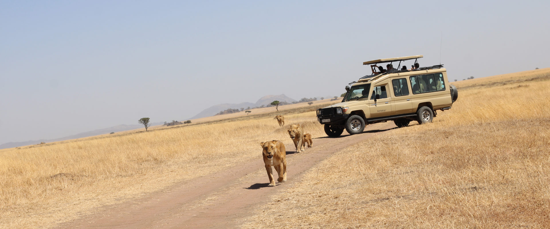 Make booking for safari