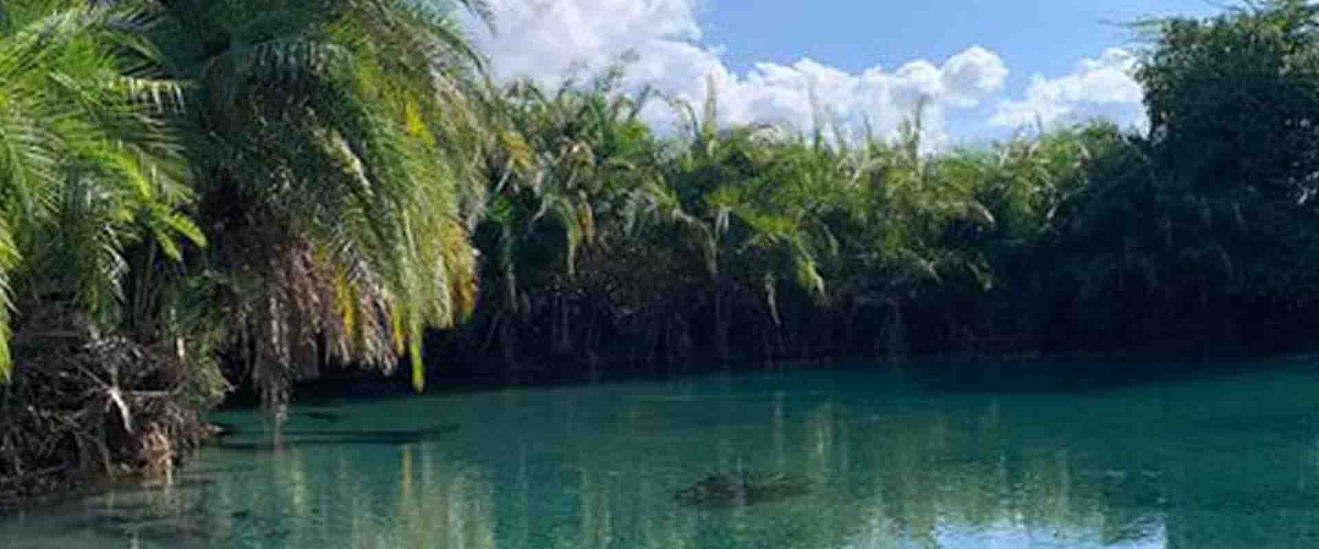 A Day Trip to Chemka Hot Spring