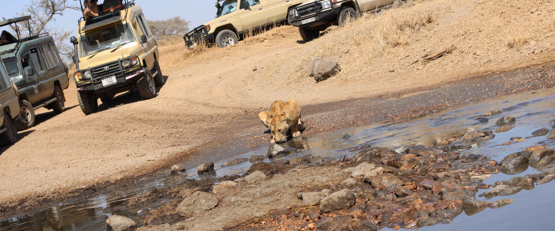 Ngorongoro Crater Day trip.