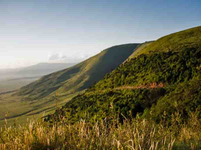 Crater Rim Scenic Walk – Ngorongoro Conservation Area