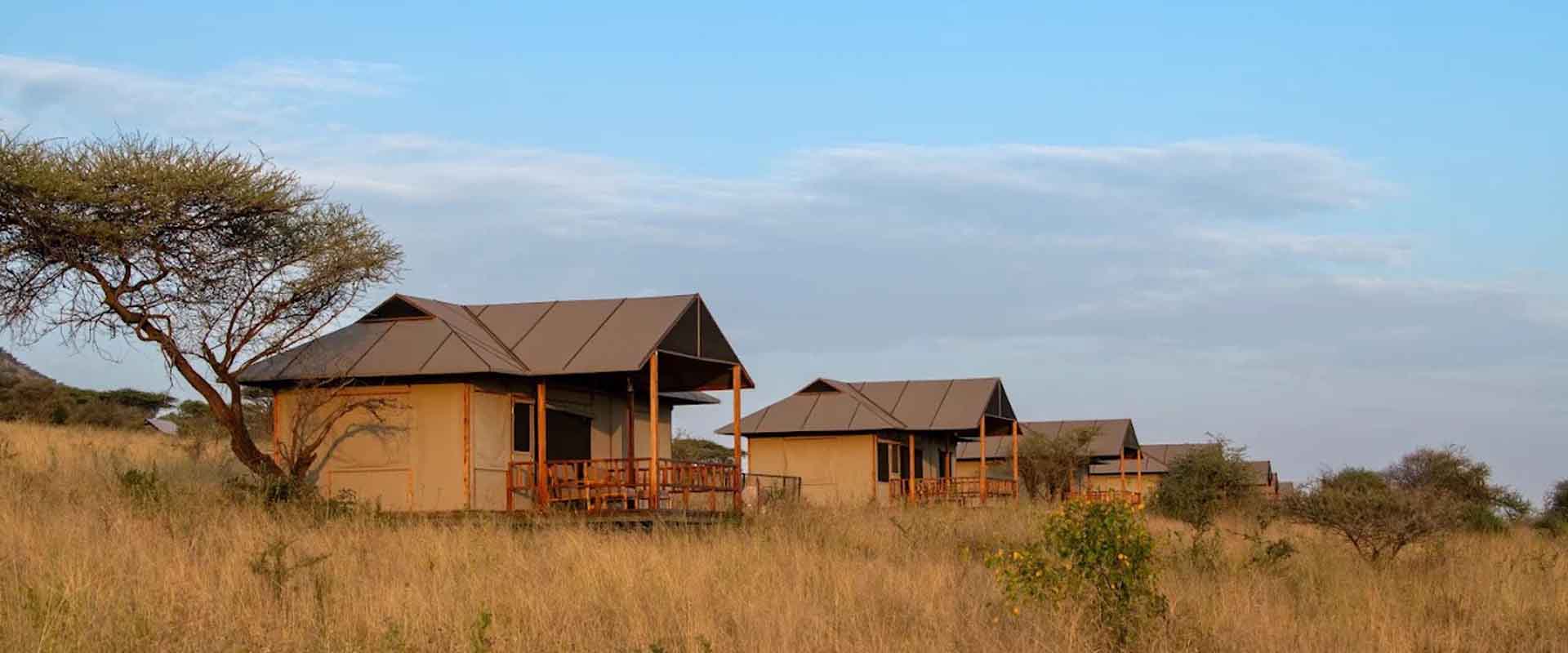 6 Days Lake Eyasi Culture, Ngorongoro Crater, Serengeti & Zanzibar Holiday