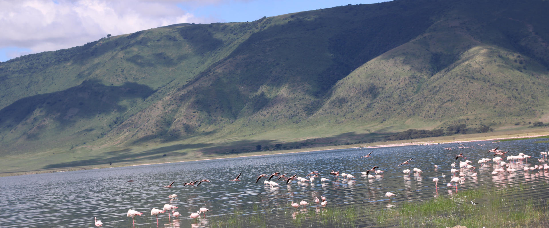 4 Days Ngorongoro Highland Trek