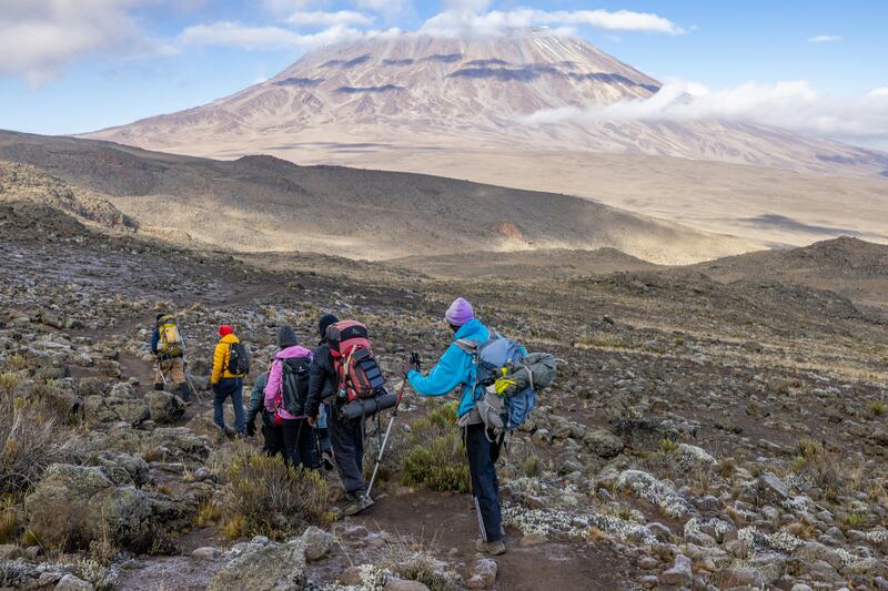 Kilimanjaro Machame Route & Northern Safari