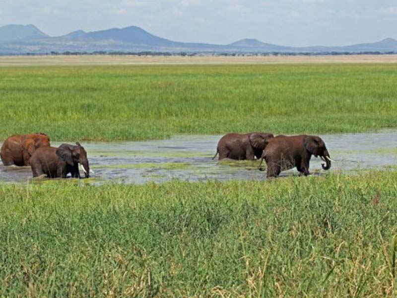 3 Days Lake Manyara & Ngorongoro crater & Tarangire Adventure