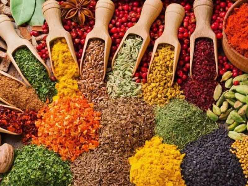 3 Days Spice & Organic Farm Experience