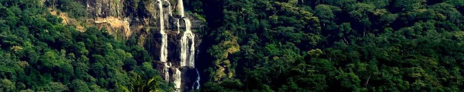 6 Days Tarangire National Park, Canopy in Lake Manyara, Cultural tour in Mto wa Mbu,& Zanzibar