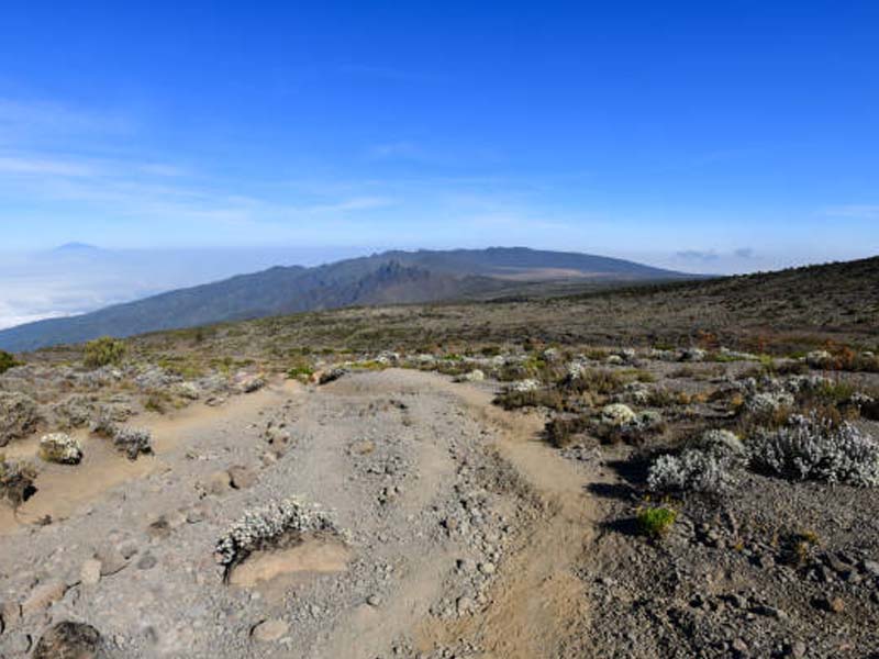 Coffee Plantation & Waterfall Walk – Mount Meru Foothills (Arusha Region)