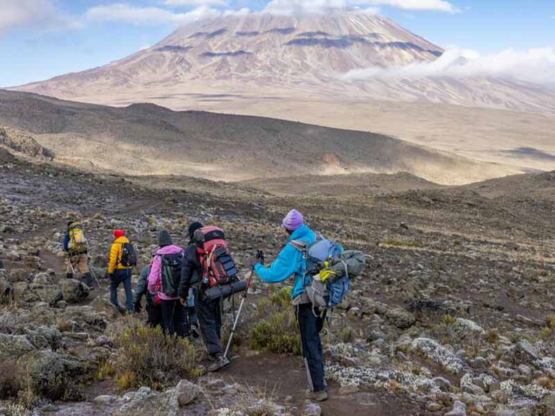 Kilimanjaro Machame Route, Northern Safari & Zanzibar Excursions