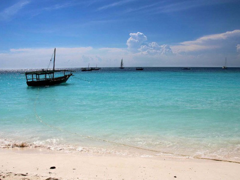 5 Days Marine wildlife, Water sport, Forest trekking, & Cultural experience