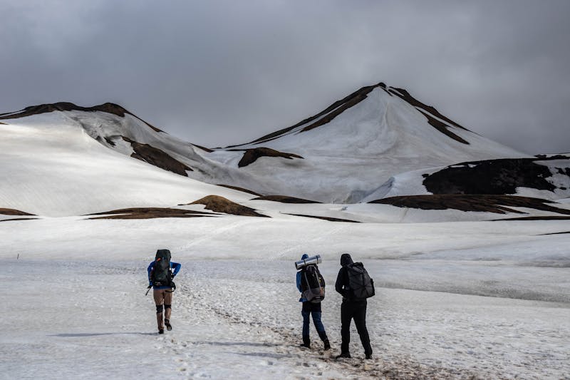 Mount Kilimanjaro Day Tour