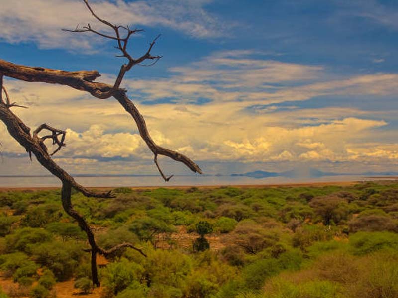 Lakeshore & Forest Walk – Lake Manyara National Park
